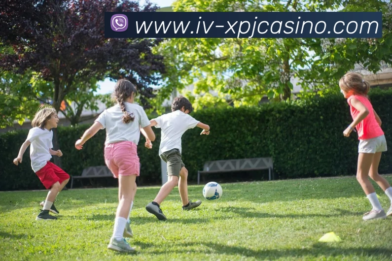 多媒体互动体验